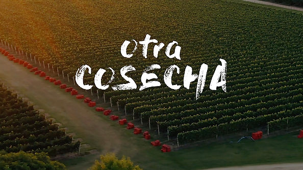 Otra Cosecha - Trailer